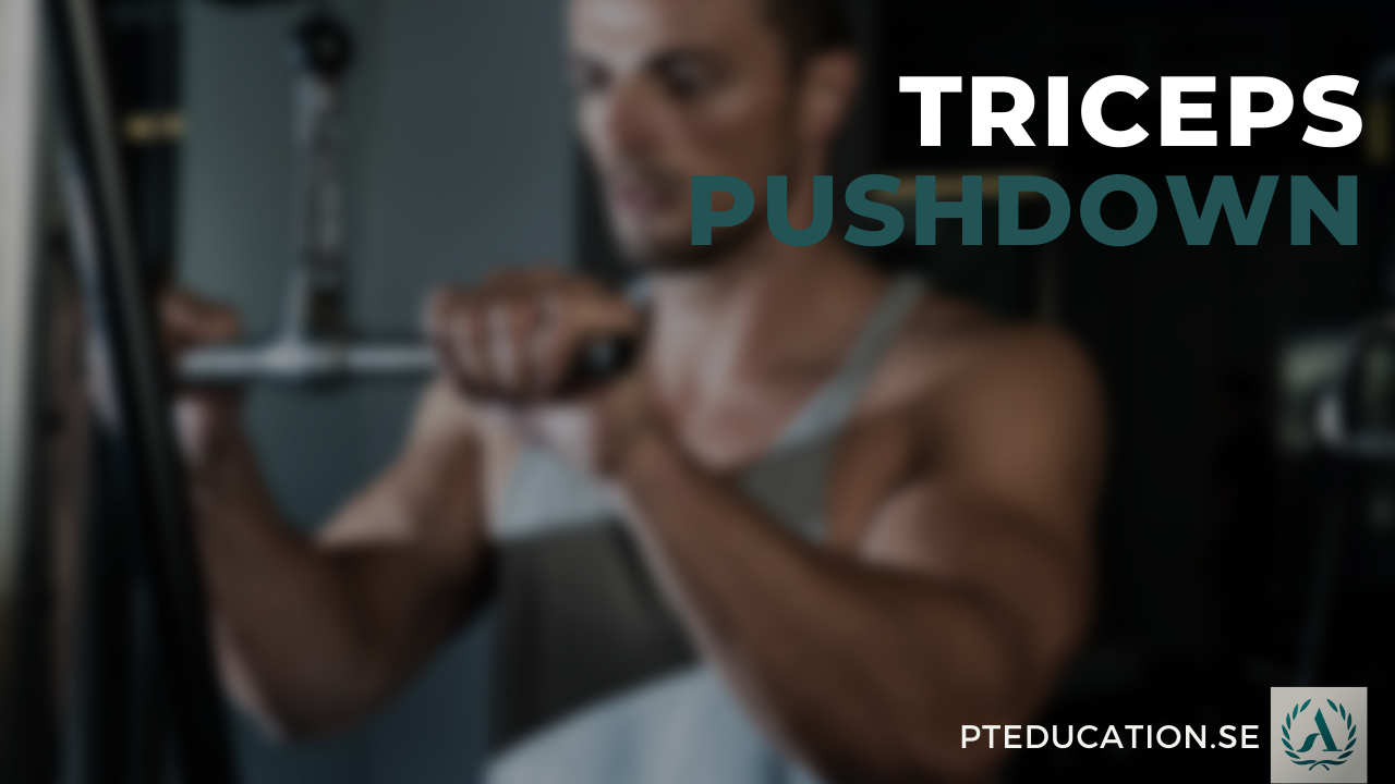 Triceps pushdown