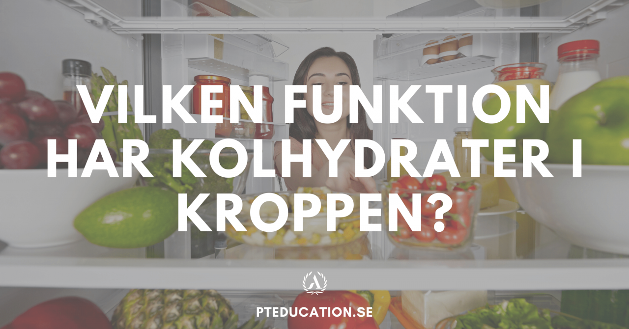 Kolhydrater – Vad är kolhydrater och varför behövs de i kroppen?