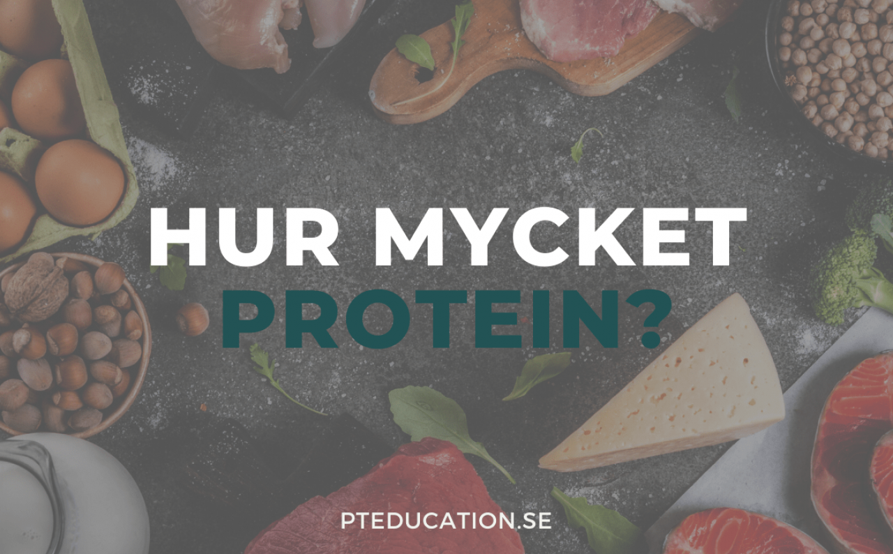 Hur mycket protein per dag ska du få i dig?